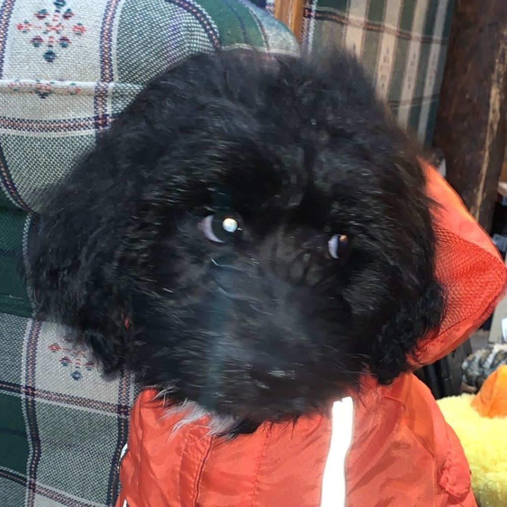 Meet your Posher, Jaimee-lyn